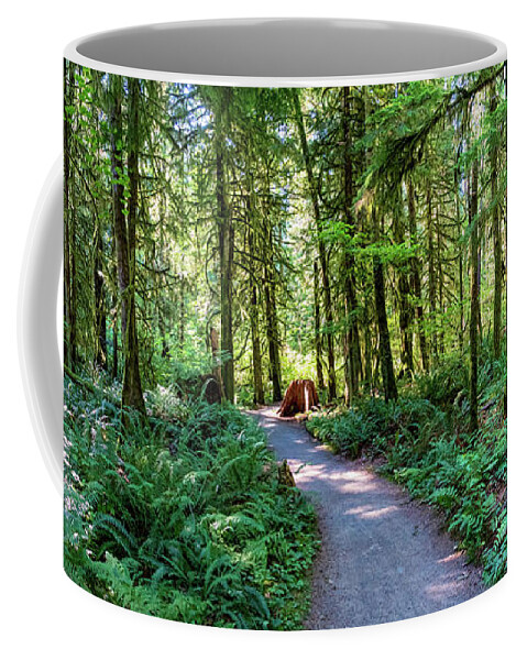 Trees And Forests Coffee Mug featuring the photograph North Loop Trail by Larey McDaniel