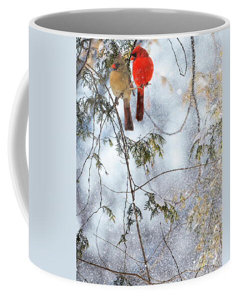 Northern Cardinals Coffee Mug featuring the photograph Northern Cardinal Love Story by Sandra Rust