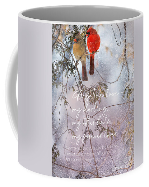 Love Coffee Mug featuring the photograph Northern Cardinal Love Story by Sandra Rust