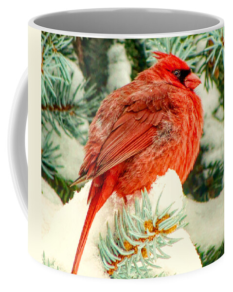 Nature Coffee Mug featuring the photograph Northern Cardinal by Susan Hope Finley
