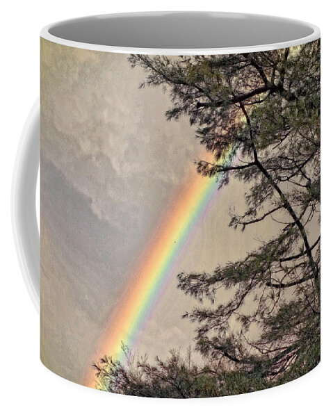 Rainbow Coffee Mug featuring the photograph Northern Forest Rainbow by Russ Considine