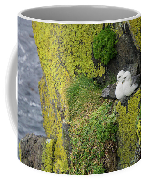 Northern Fulmar Coffee Mug featuring the photograph Northern Fulmar Pair on Cliff Wall Perch in Ireland by Nancy Gleason