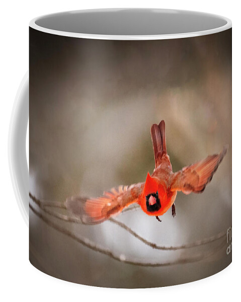 Male Northern Cardinal Coffee Mug featuring the photograph Northern Northern Cardinal In-flight by Sandra Rust