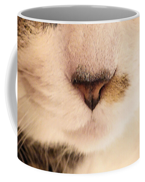 Cat Coffee Mug featuring the photograph Nose and Whiskers by Steve Ember