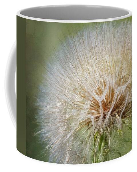 Western Salsify Coffee Mug featuring the photograph Not A Dandelion by Joan Carroll