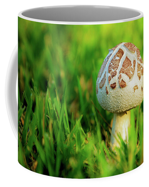 Mushroom Coffee Mug featuring the photograph Not A Full Bloom Mushroom by James Eddy
