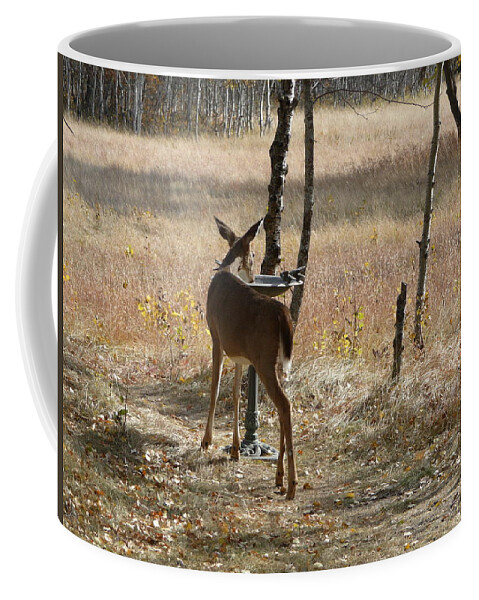 Deer Coffee Mug featuring the photograph Not Just for the Birds by Ruth Kamenev