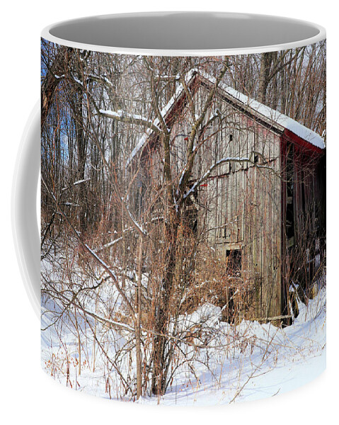 Barn Coffee Mug featuring the photograph Not Much of a Barn by Scott Kingery