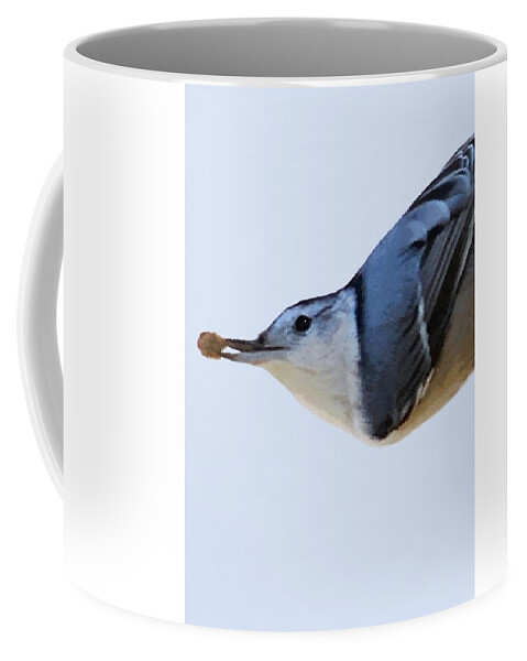 Bird Portrait Coffee Mug featuring the mixed media Nuthatch by Judy Cuddehe