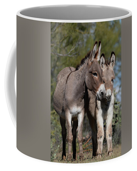 Wild Burros Coffee Mug featuring the photograph Nuzzles by Mary Hone