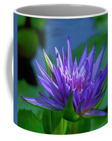 Nature Coffee Mug featuring the photograph Nymphaea Water Lily DTHN0316 by Gerry Gantt