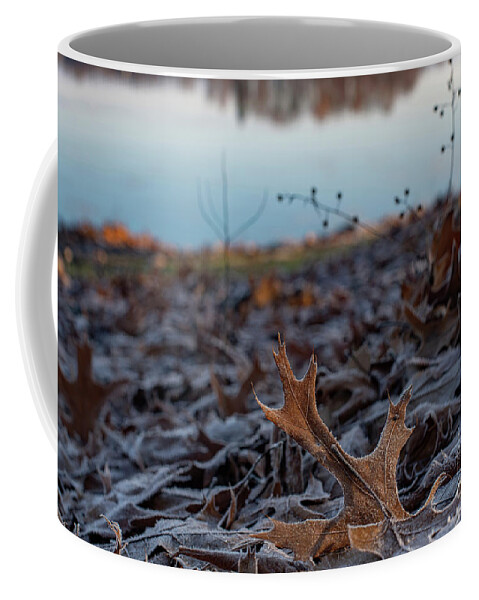 Oak Leaf Coffee Mug featuring the photograph Oak Leaf on the First Frost by Sandra Rust