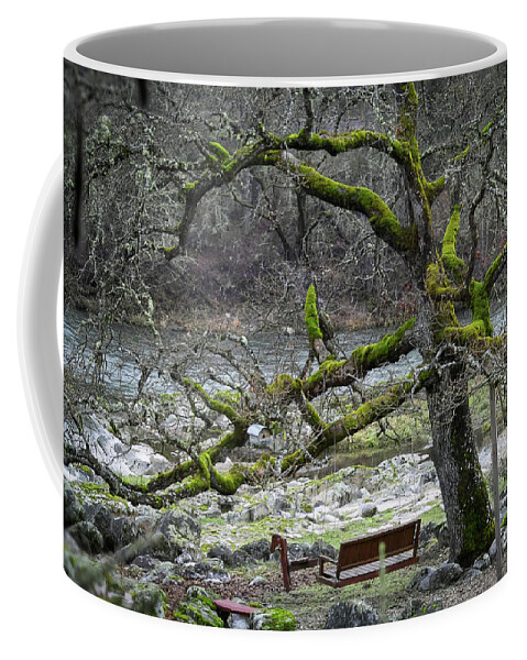 Rouge River Coffee Mug featuring the photograph Oak On The Rogue River by Theresa Fairchild