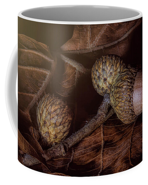 Acorn Coffee Mug featuring the photograph Oak by Tom Mc Nemar