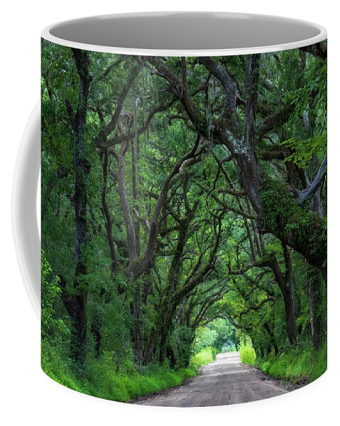 Landscape Coffee Mug featuring the photograph Oak Tunnel by Chris Berrier