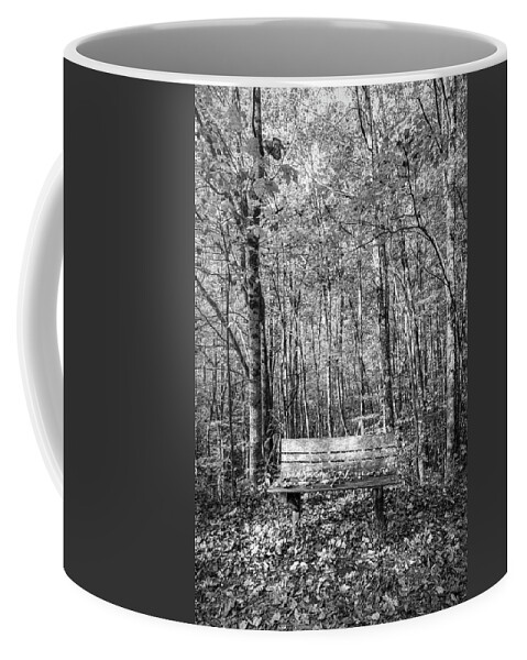 Fall Coffee Mug featuring the photograph Old Bench in the Fallen Leaves Creeper Trail in Autumn Fall Blac by Debra and Dave Vanderlaan