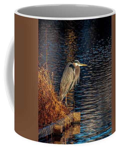 Bird Coffee Mug featuring the photograph Old Blue by Cathy Kovarik