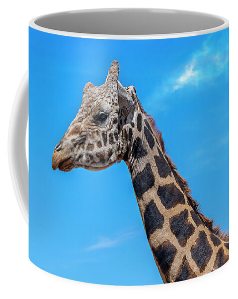  Coffee Mug featuring the photograph Old Giraffe by Al Judge