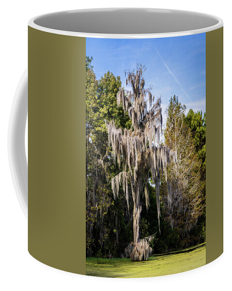 2021 Coffee Mug featuring the photograph Old Grey Ent at Auldbrass by Charles Hite