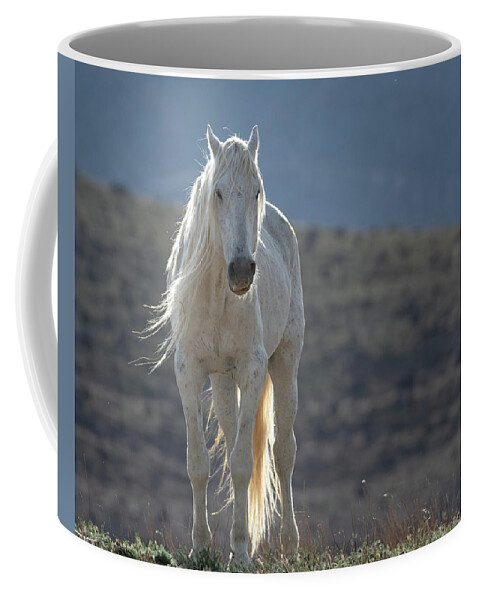 Wild Horses Coffee Mug featuring the photograph Old Man in the Morning by Mary Hone