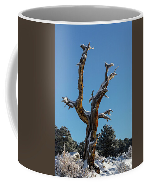 Colorado Coffee Mug featuring the photograph Old Tree - 9167 by Jerry Owens