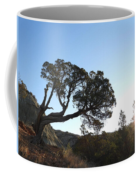 Juniper Coffee Mug featuring the photograph Old Twisted Juniper 1 by Amanda R Wright