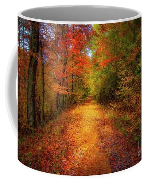 Wagon Road Coffee Mug featuring the photograph Old Wagon Road at Bays Mountain by Shelia Hunt