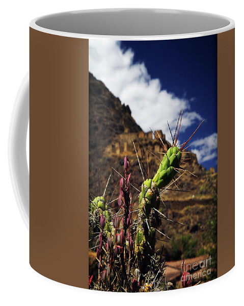 Ollantaytambo Coffee Mug featuring the photograph Ollantaytambo by David Little-Smith