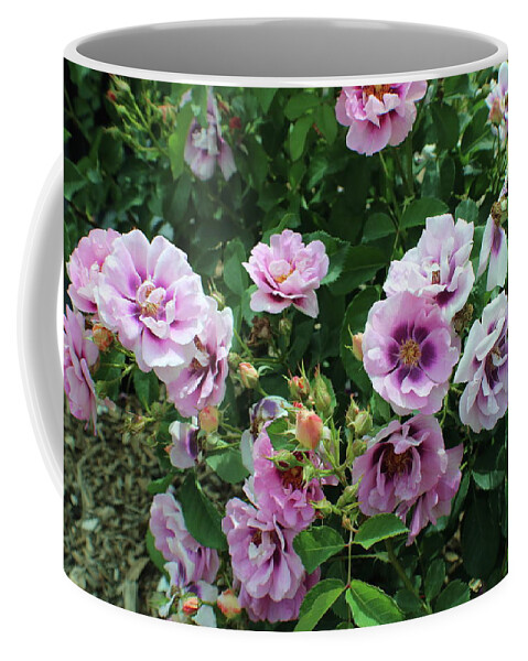 Ombre Coffee Mug featuring the photograph Ombre Flower Joy by Kenneth Pope