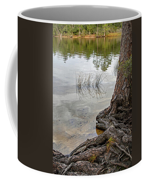 Bayou Coffee Mug featuring the photograph On the Bayou by M Kathleen Warren