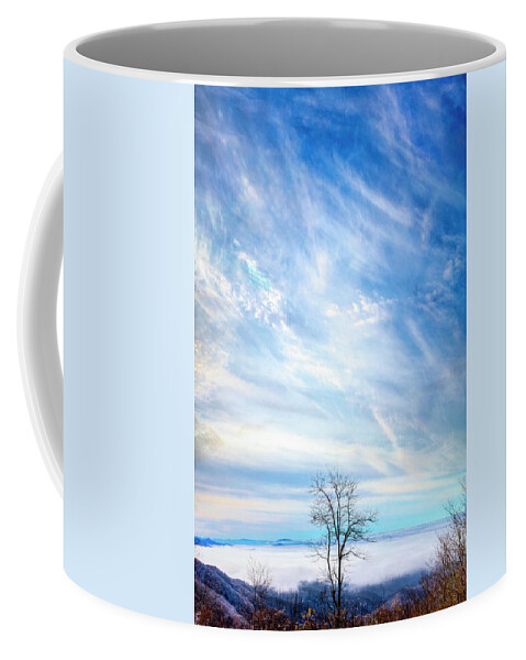 Carolina Coffee Mug featuring the photograph On the Edge of the Blue Ridge Mountains by Debra and Dave Vanderlaan