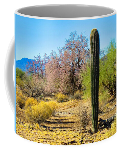 Arizona Coffee Mug featuring the photograph On the Ironwood Trail by Judy Kennedy