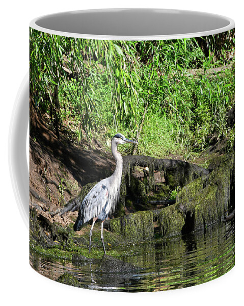 Norris Dam State Park Coffee Mug featuring the photograph On The Road 4 by Phil Perkins