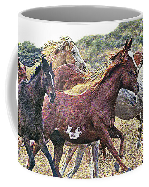 Horses Coffee Mug featuring the photograph On The Run Color by Don Schimmel