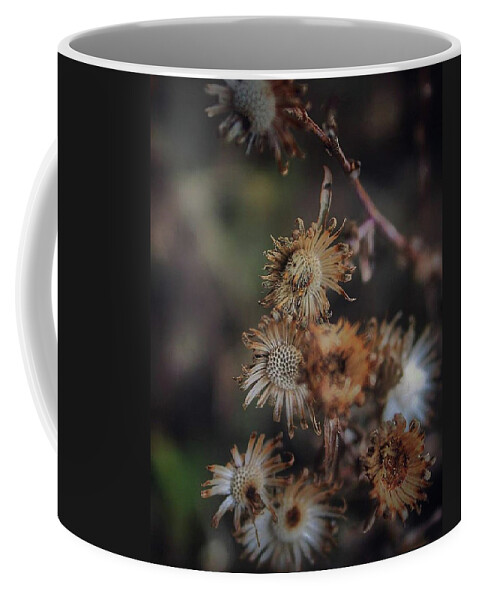 Mountain Coffee Mug featuring the photograph On the Way Out by Go and Flow Photos