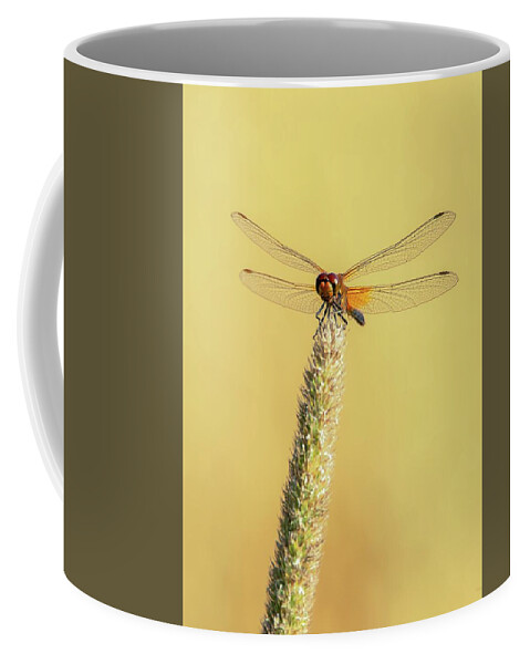 Dragonfly.macro.nature.august Coffee Mug featuring the photograph On top by Rose-Marie Karlsen