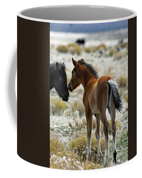 Utah Coffee Mug featuring the photograph Onaqui Butt by Jennifer Robin