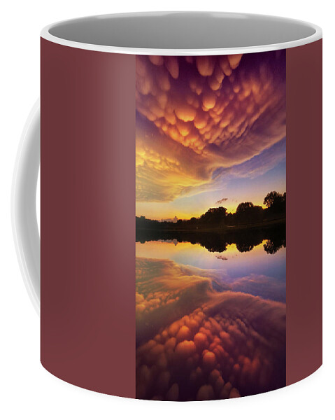  Coffee Mug featuring the photograph Once in a Lifetime by Rob Blair