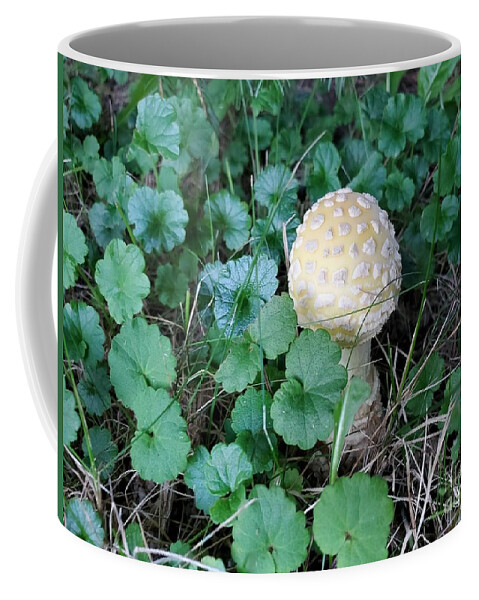 Mushroom Coffee Mug featuring the photograph One Alone by Chris Naggy