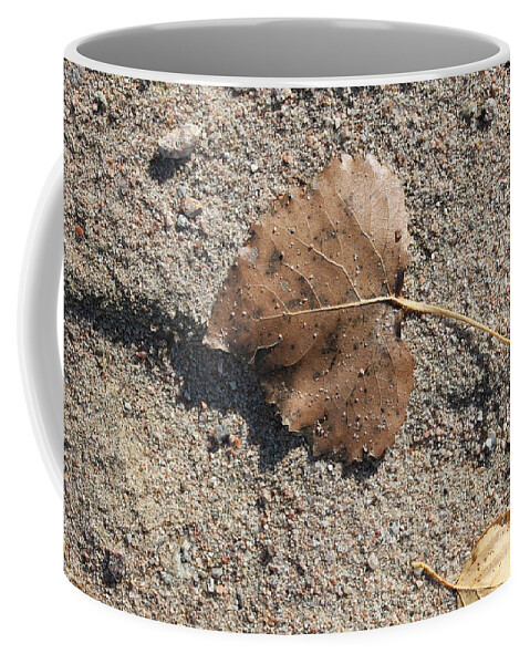 Leaf Coffee Mug featuring the photograph One Aspen Leaf by Ruth Kamenev