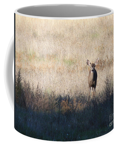 Wildlife Coffee Mug featuring the photograph One Cute Deer by Carol Groenen