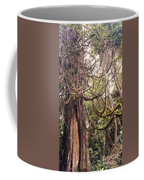 Trees Coffee Mug featuring the photograph Open Arms by Kimberly Furey