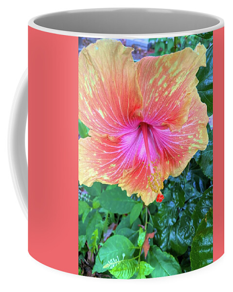 Flower Coffee Mug featuring the photograph Orange And Pink Hibiscus by Jeff Iverson