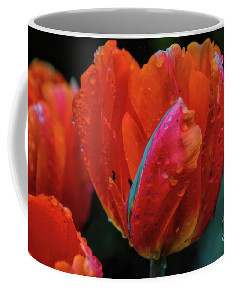 Floral Coffee Mug featuring the photograph Orange and Wet by Diana Mary Sharpton