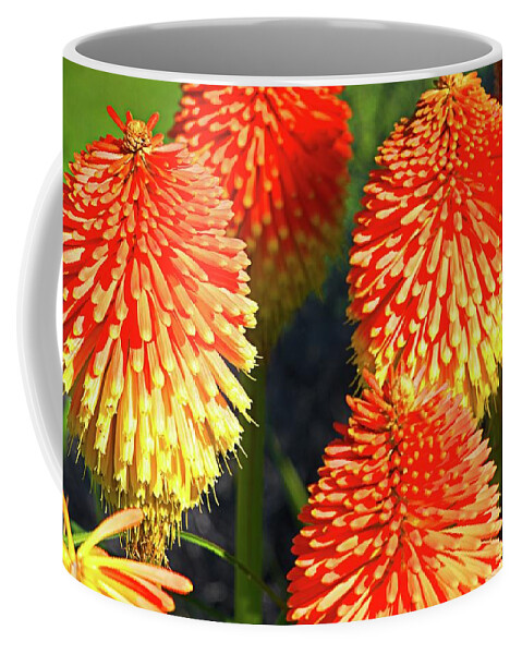 Blooming Coffee Mug featuring the photograph Orange And Yellow Blossoms by David Desautel