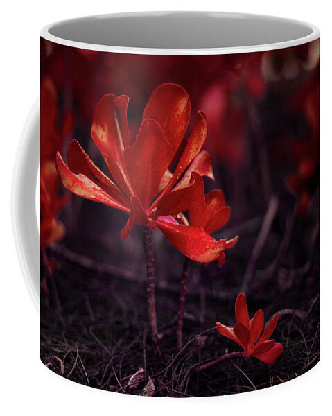 Beach Cabbage Photo Coffee Mug featuring the photograph Orange Beach Cabbage by Gian Smith
