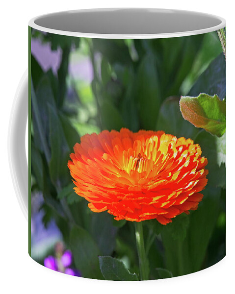 Beautiful Coffee Mug featuring the photograph Orange Blossom by David Desautel