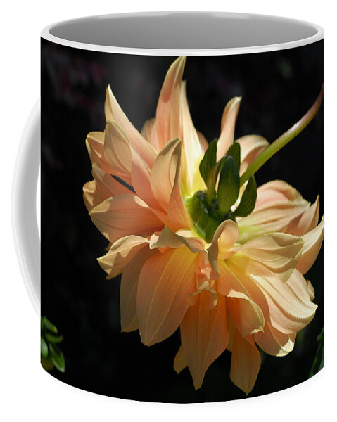 Dahlia Coffee Mug featuring the photograph Orange Dahlia by Amy Fose