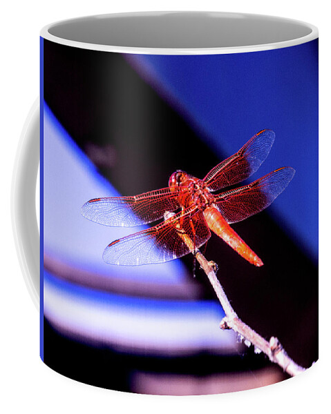 Wings Coffee Mug featuring the photograph Orange Dragonfly by David Desautel