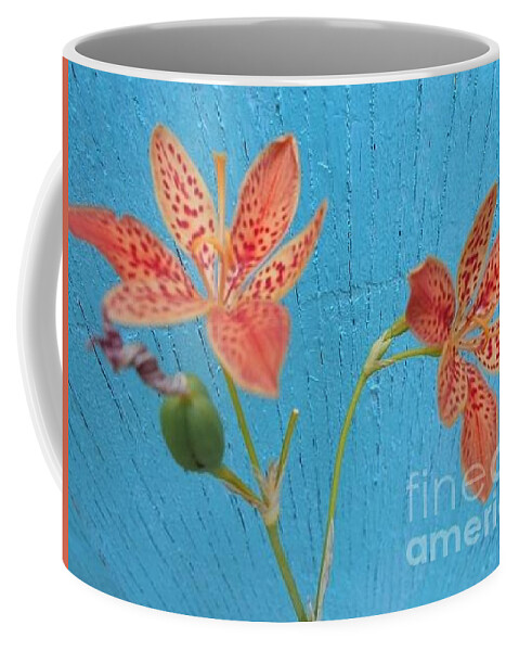 Orange Coffee Mug featuring the photograph Orange Lily on blue by Nancy Graham